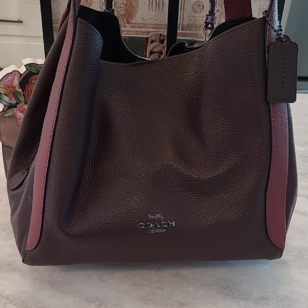 Coach Hadley Hobo. Colorblock.EUC